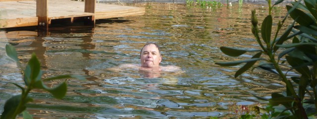 Piscine naturelle