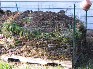 compost